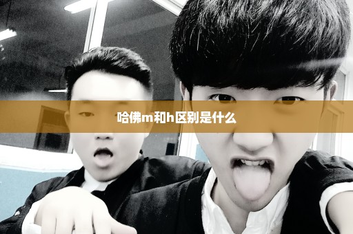 哈佛m和h区别是什么