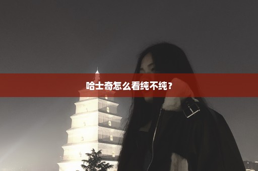 哈士奇怎么看纯不纯？