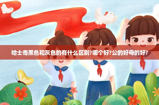 哈士奇黑色和灰色的有什么区别?哪个好?公的好母的好?