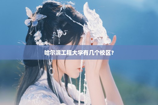 哈尔滨工程大学有几个校区？