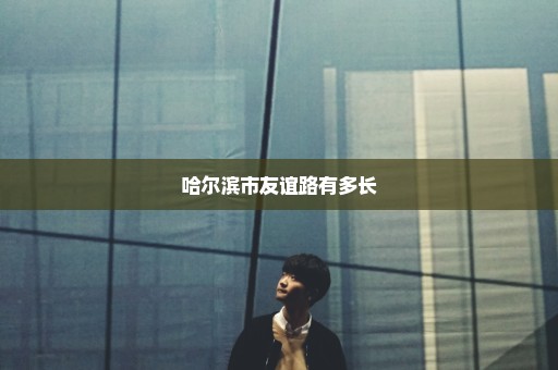 哈尔滨市友谊路有多长
