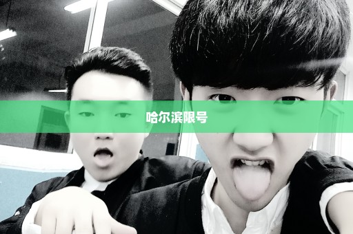 哈尔滨限号
