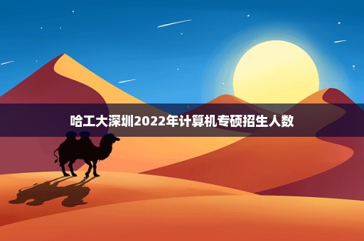 哈工大深圳2022年计算机专硕招生人数