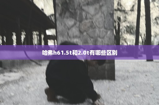 哈弗h61.5t和2.0t有哪些区别