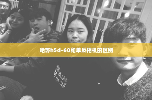 哈苏h5d-60和单反相机的区别