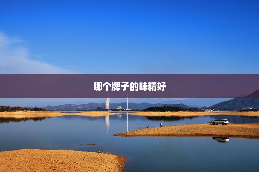 哪个牌子的味精好