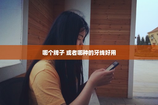 哪个牌子 或者哪种的牙线好用