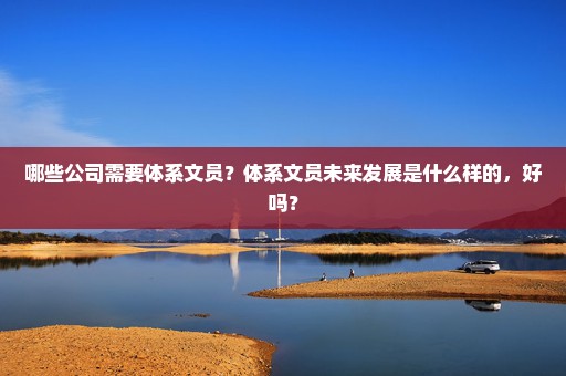 哪些公司需要体系文员？体系文员未来发展是什么样的，好吗？