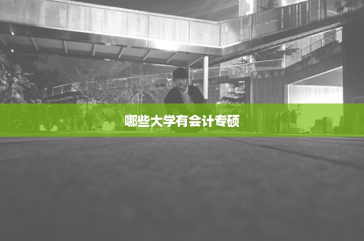 哪些大学有会计专硕