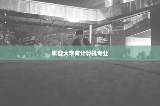 哪些大学有计算机专业