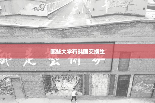哪些大学有韩国交换生