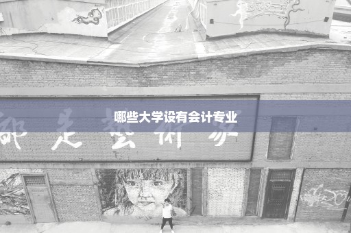 哪些大学设有会计专业