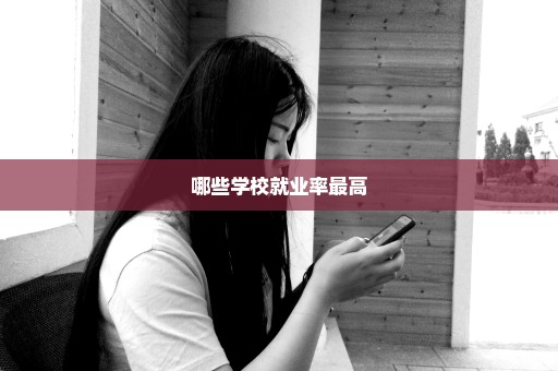 哪些学校就业率最高