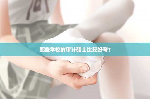 哪些学校的审计硕士比较好考？