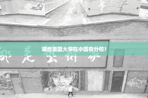 哪些美国大学在中国有分校?
