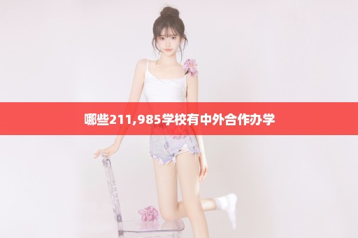 哪些211,985学校有中外合作办学