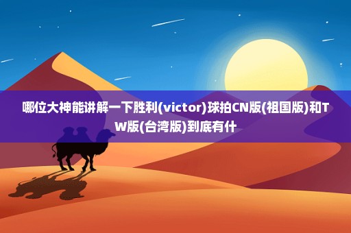 哪位大神能讲解一下胜利(victor)球拍CN版(祖国版)和TW版(台湾版)到底有什
