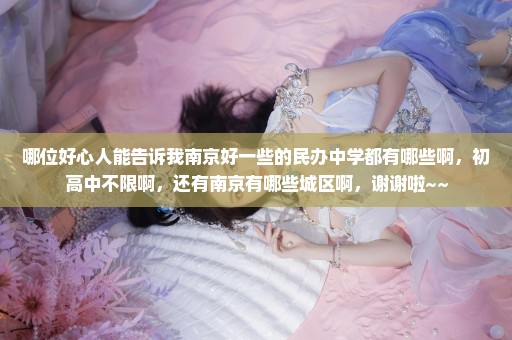 哪位好心人能告诉我南京好一些的民办中学都有哪些啊，初高中不限啊，还有南京有哪些城区啊，谢谢啦~~