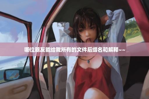 哪位朋友能给我所有的文件后缀名和解释~~