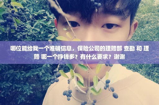 哪位能给我一个准确信息，保险公司的理赔部 查勘 和 理赔 哪一个挣钱多？有什么要求？谢谢