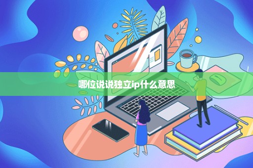 哪位说说独立ip什么意思
