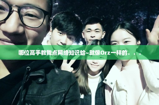 哪位高手教我点网络知识蛤~就像Orz一样的．．．