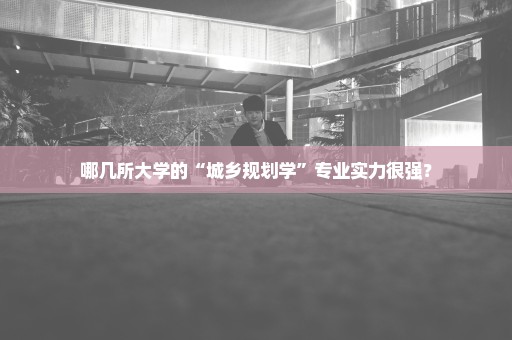 哪几所大学的“城乡规划学”专业实力很强？