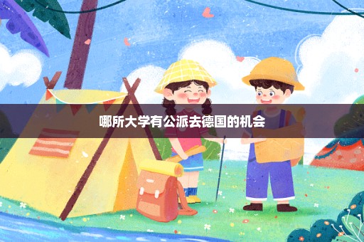 哪所大学有公派去德国的机会