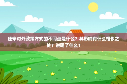 唐宋对外政策方式的不同点是什么？其影响有什么相似之处？说明了什么？