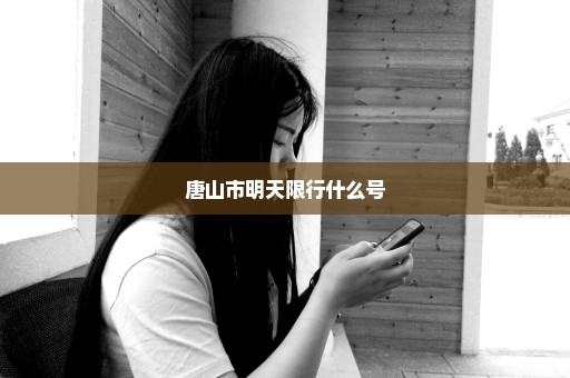 唐山市明天限行什么号