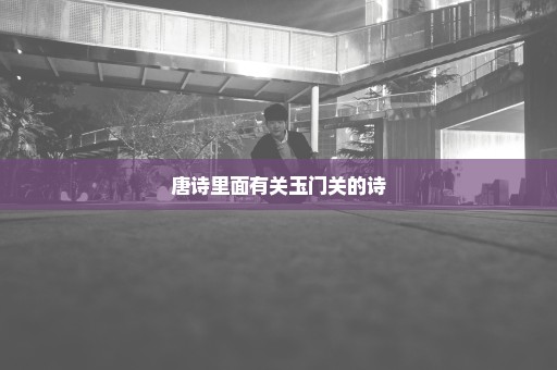唐诗里面有关玉门关的诗
