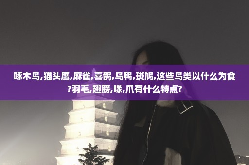 啄木鸟,猫头鹰,麻雀,喜鹊,乌鸭,斑鸠,这些鸟类以什么为食?羽毛,翅膀,喙,爪有什么特点?