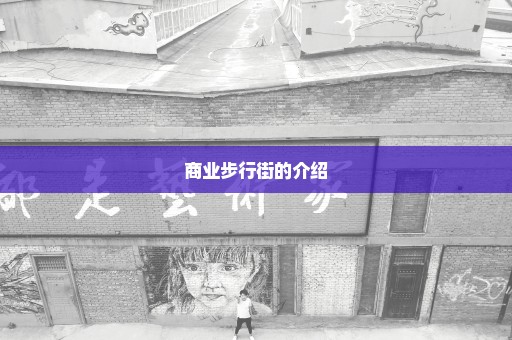商业步行街的介绍