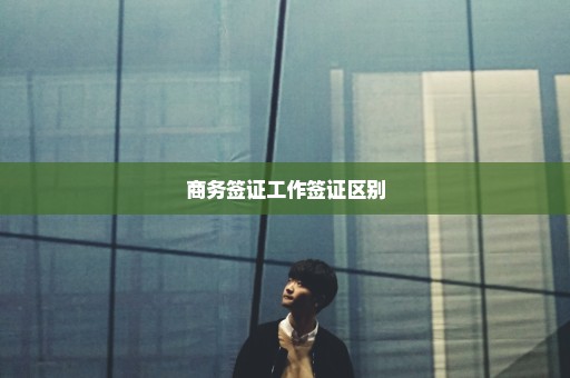 商务签证工作签证区别