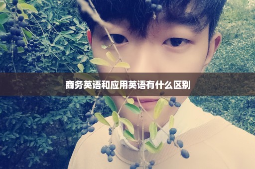 商务英语和应用英语有什么区别