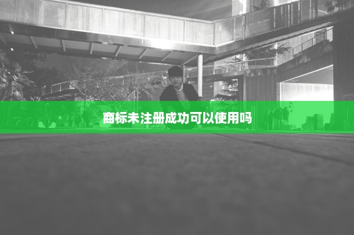 商标未注册成功可以使用吗