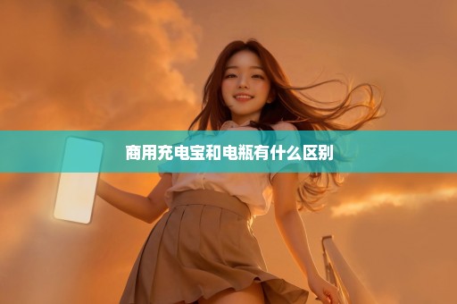 商用充电宝和电瓶有什么区别