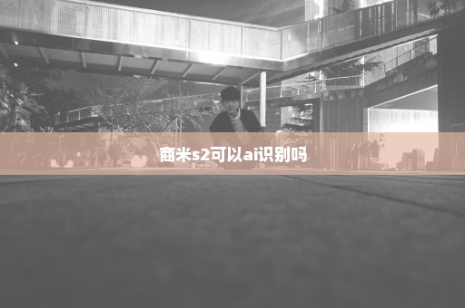 商米s2可以ai识别吗