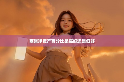 商誉净资产百分比是高好还是低好