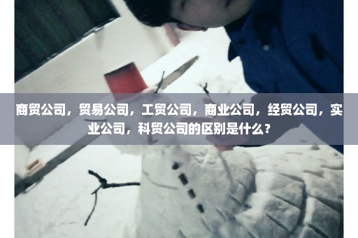 商贸公司，贸易公司，工贸公司，商业公司，经贸公司，实业公司，科贸公司的区别是什么？