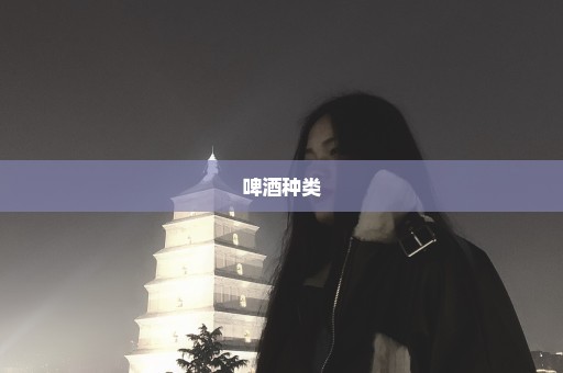 啤酒种类