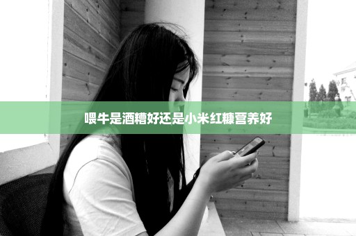 喂牛是酒糟好还是小米红糠营养好