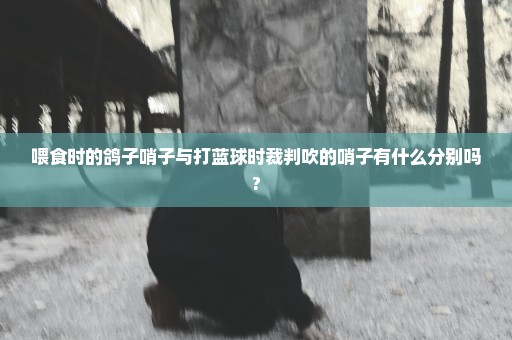 喂食时的鸽子哨子与打蓝球时裁判吹的哨子有什么分别吗?