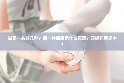 喊麦一共分几种？每一种都表示什么意思？正统和另类中？