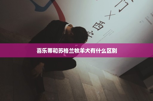 喜乐蒂和苏格兰牧羊犬有什么区别
