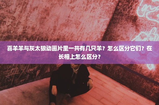 喜羊羊与灰太狼动画片里一共有几只羊？怎么区分它们？在长相上怎么区分？