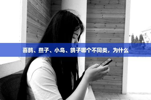 喜鹊、燕子、小鸟、鸽子哪个不同类，为什么