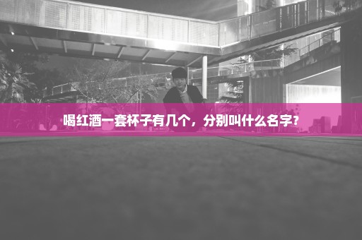喝红酒一套杯子有几个，分别叫什么名字？