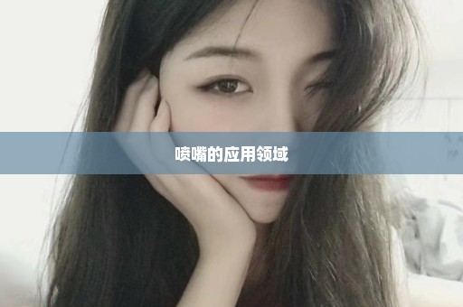 喷嘴的应用领域