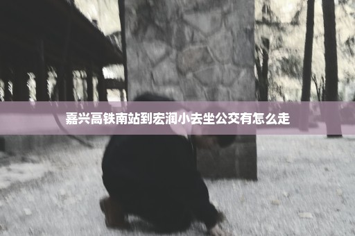 嘉兴高铁南站到宏润小去坐公交有怎么走